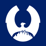 Логотип Raven Property group