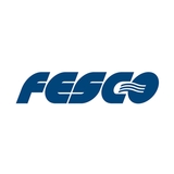 Logo Far-Eastern Shipping Company